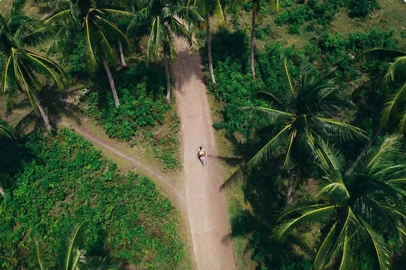Como chegar em Trancoso: avião, carro, balsa e transfer