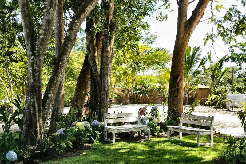 Jardim de casa no Bairro da Colina, em Trancoso