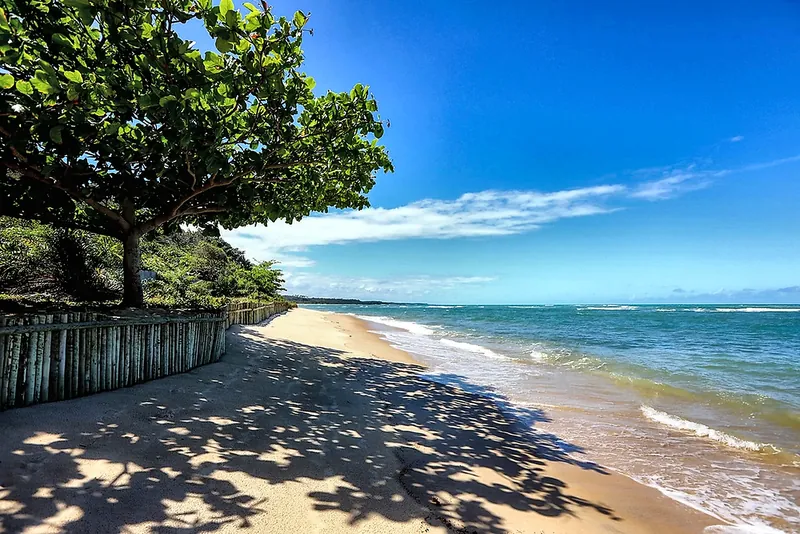 Faixa de areia e coqueiros na Praia de Itapororoca, ao sul de Trancoso