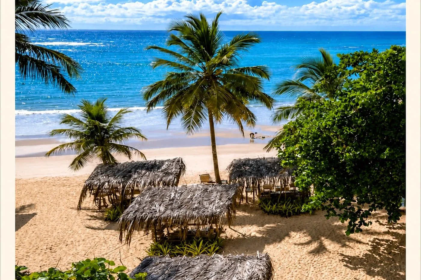 Alma Trancoso