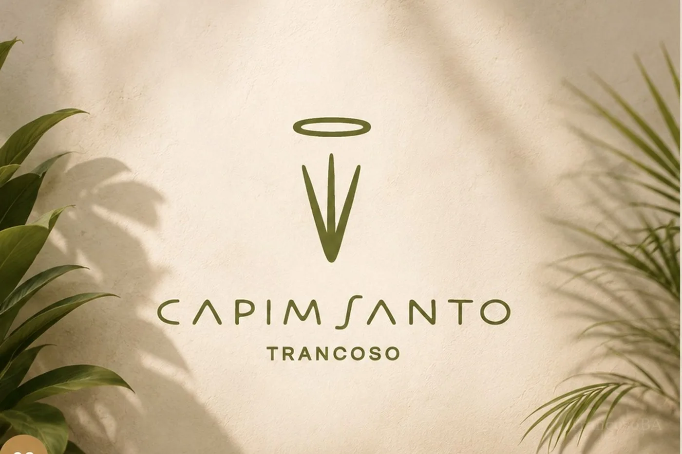 Capim Santo