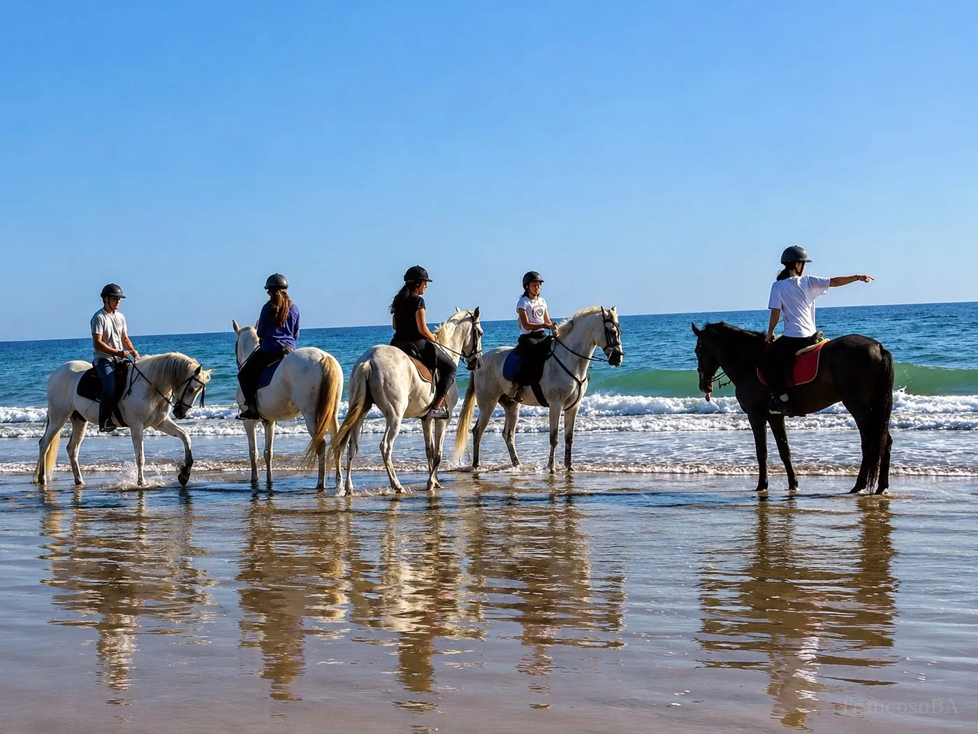 Cavalo na Praia