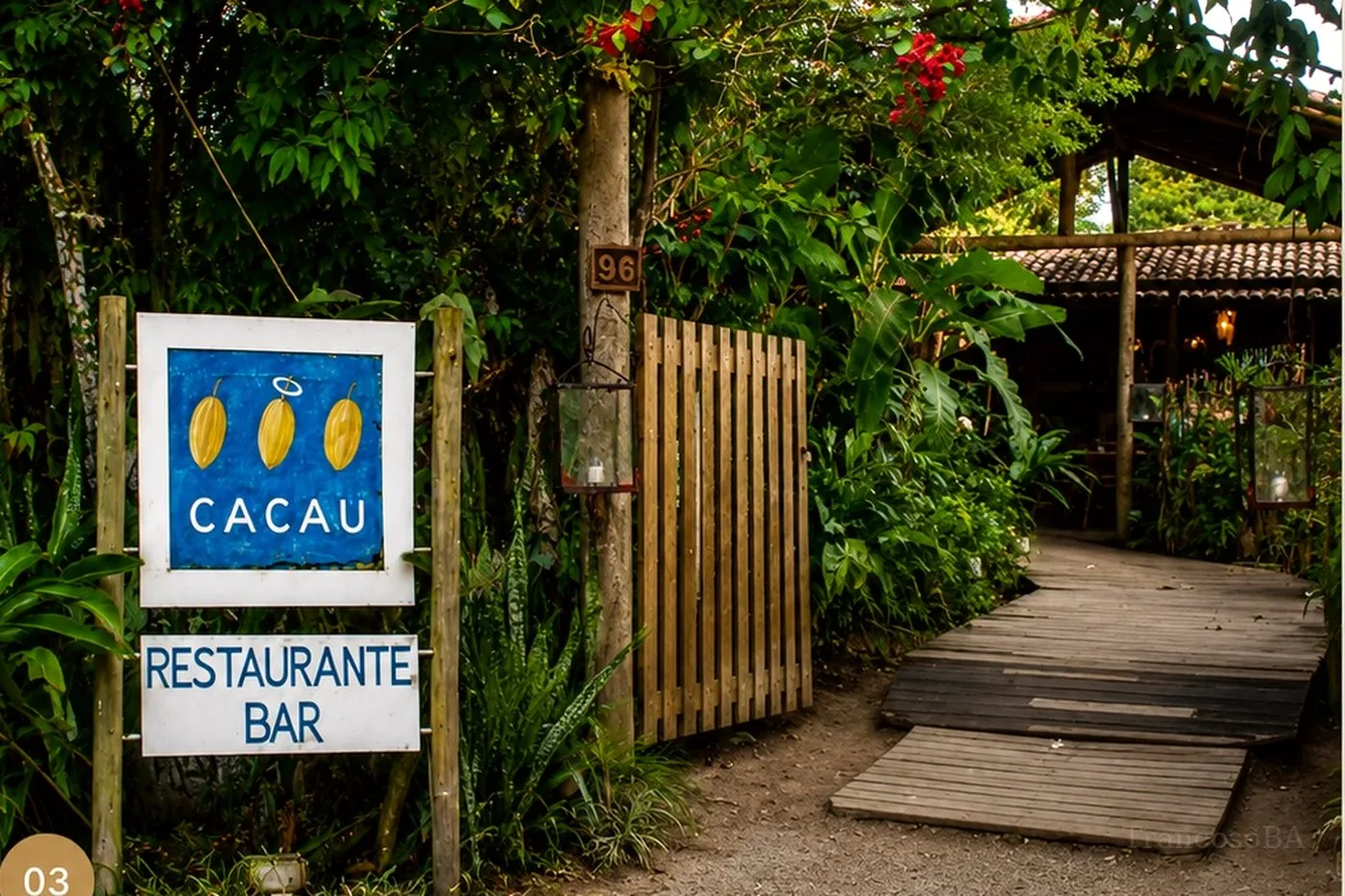 O Cacau