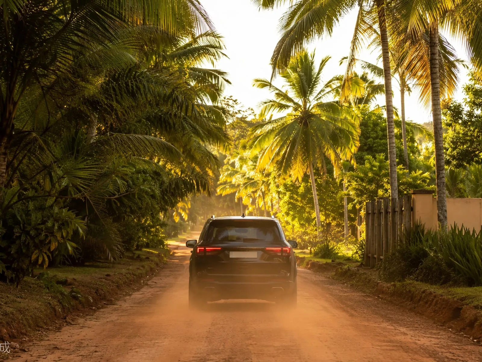 Transfer e transporte